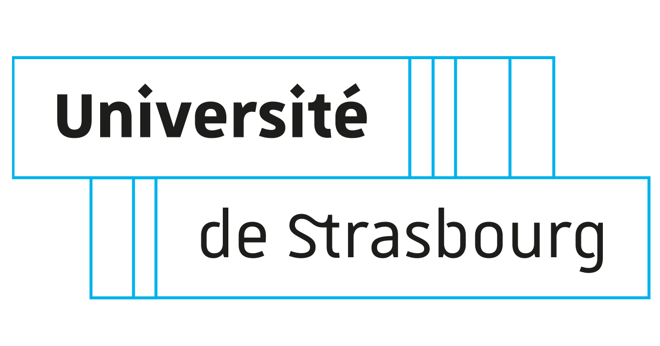 De Universiteit van Straatsburg is op zoek naar een Maître de Langue/Taaldocent